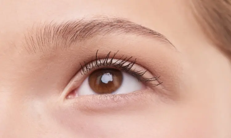 How To Apply for Lash Extensions?